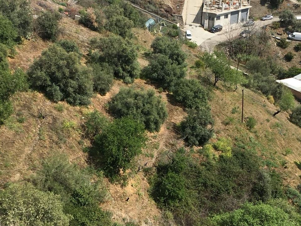 Helårsgrund i Moclinejo, Malaga - foto 4