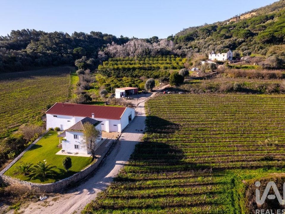 Farm i Setubal, Setubal - foto 1