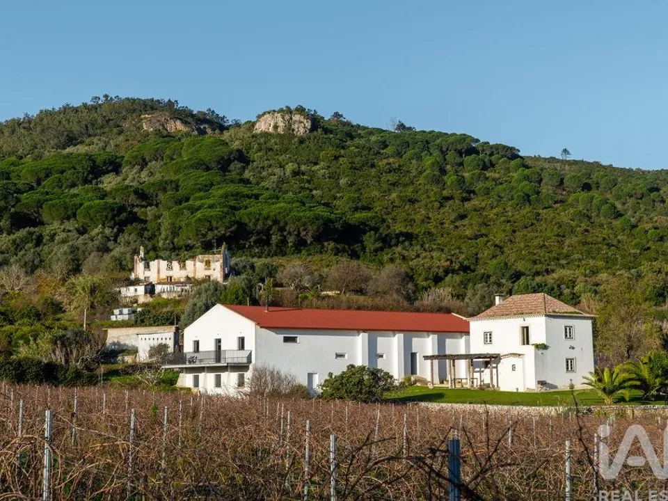 Farm i Setubal, Setubal - foto 2