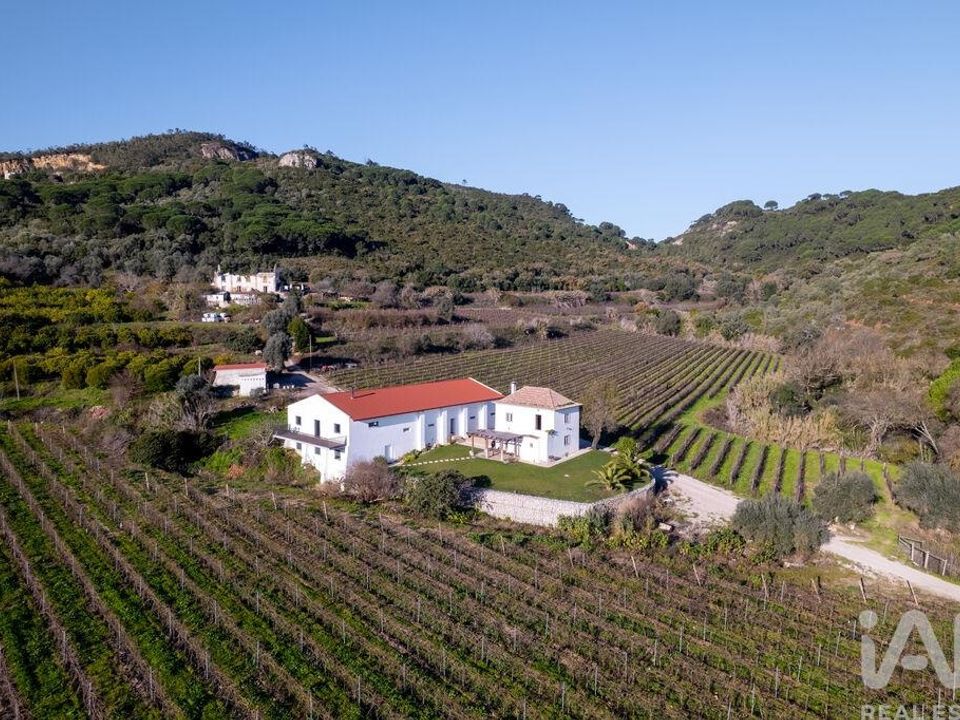 Farm i Setubal, Setubal - foto 3