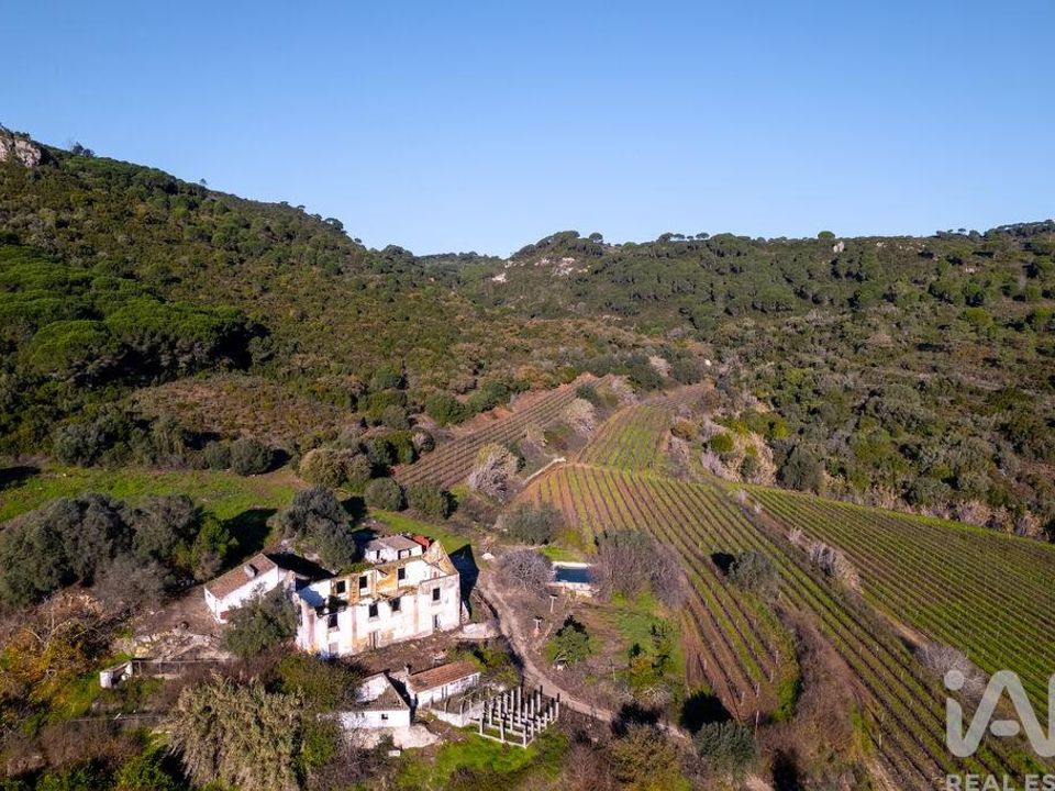 Farm i Setubal, Setubal - foto 4