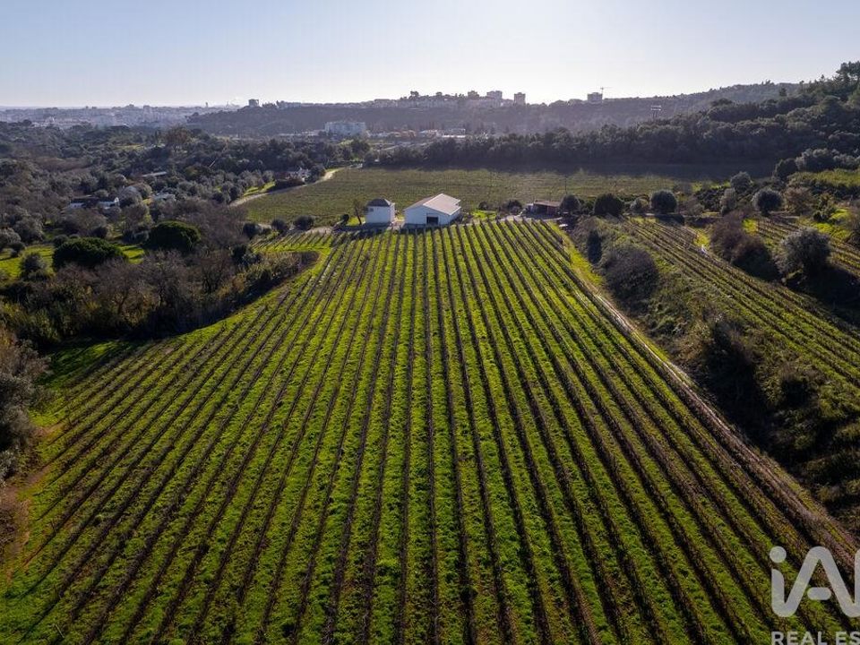 Farm i Setubal, Setubal - foto 5