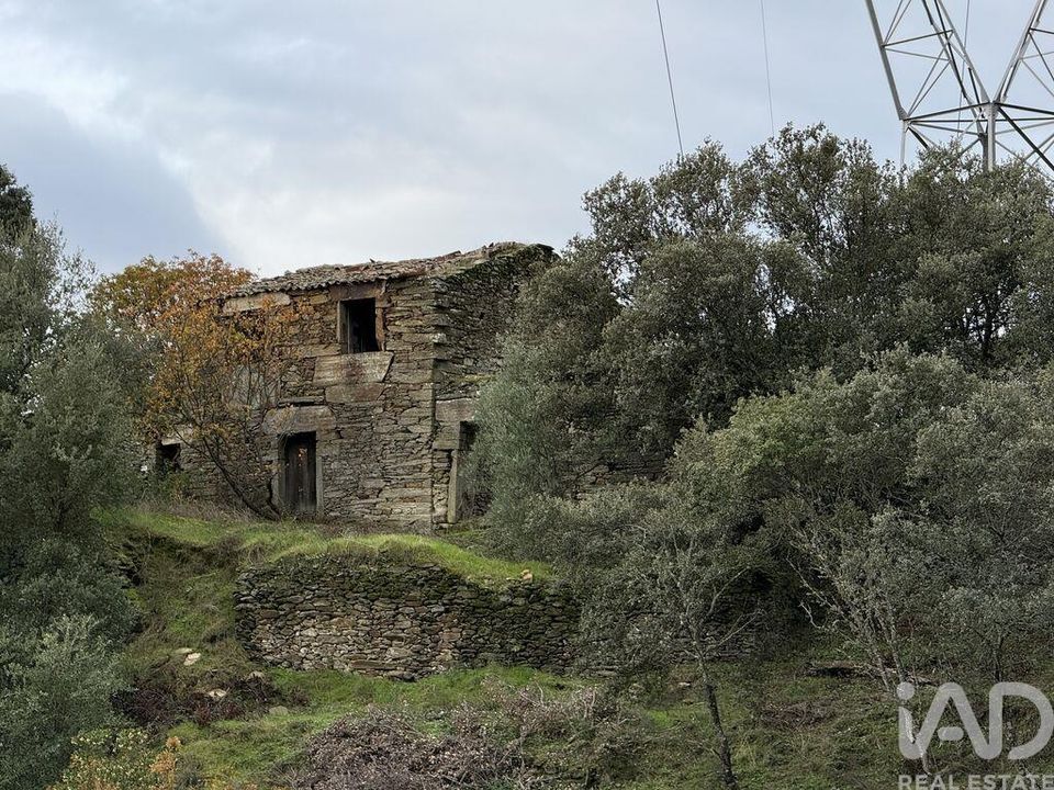 Farm i Armamar, Viseu - foto 1
