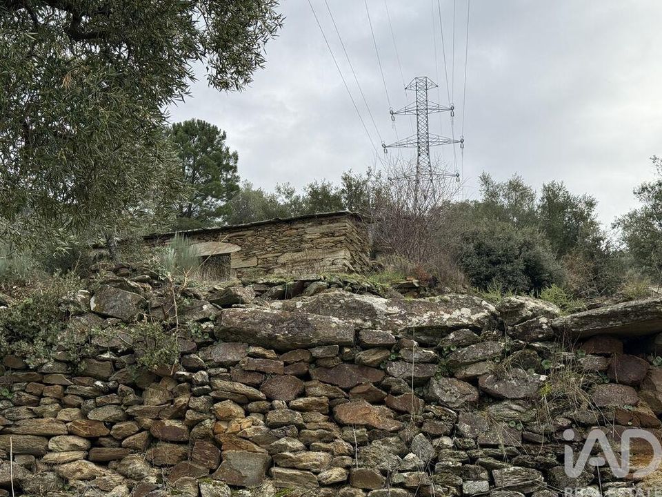 Farm i Armamar, Viseu - foto 3