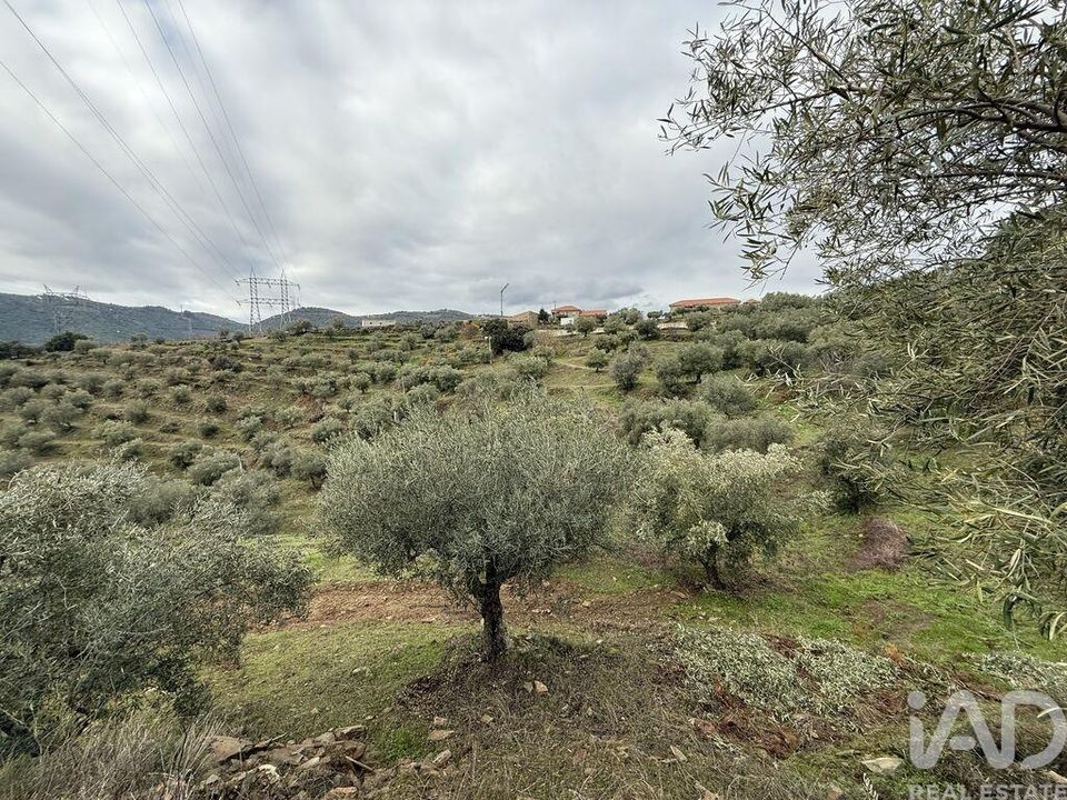 Farm i Armamar, Viseu - foto 5