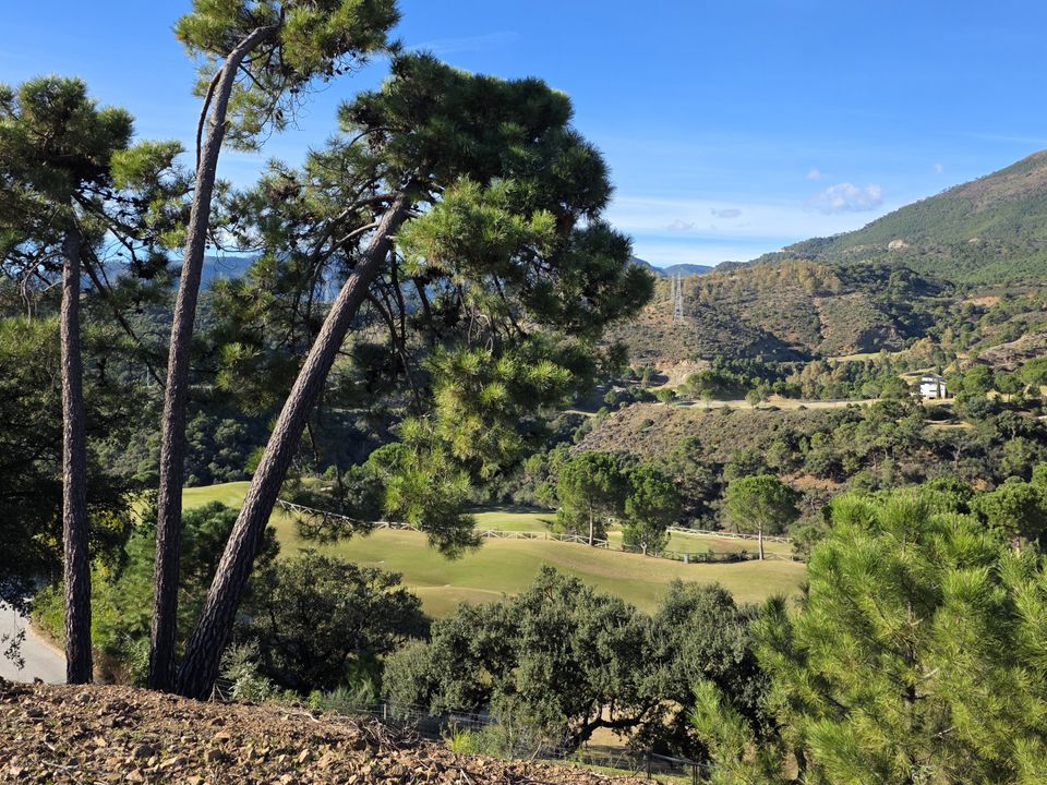 Helårsgrund i Benahavis, Malaga - foto 2