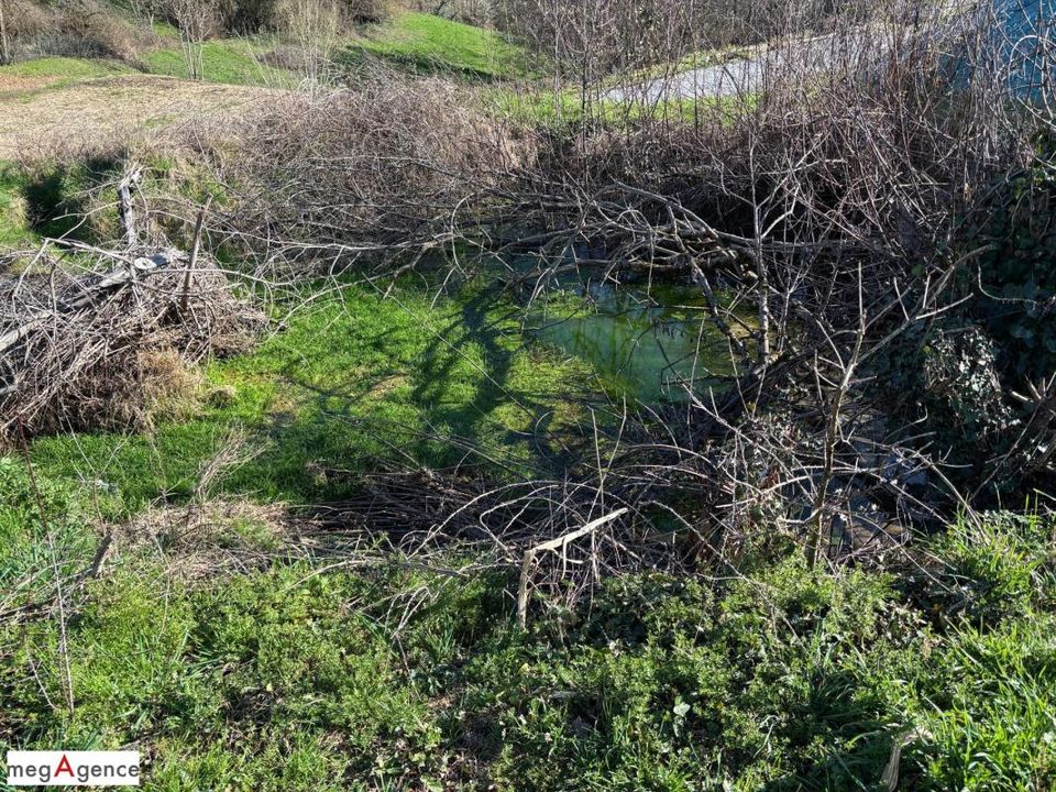 Terra a Sainte-Fereole, Correze - foto 3