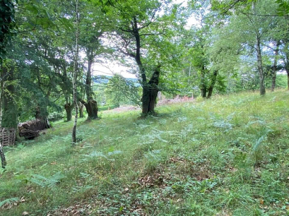 Tomt i Tulle, Correze - bilde 2
