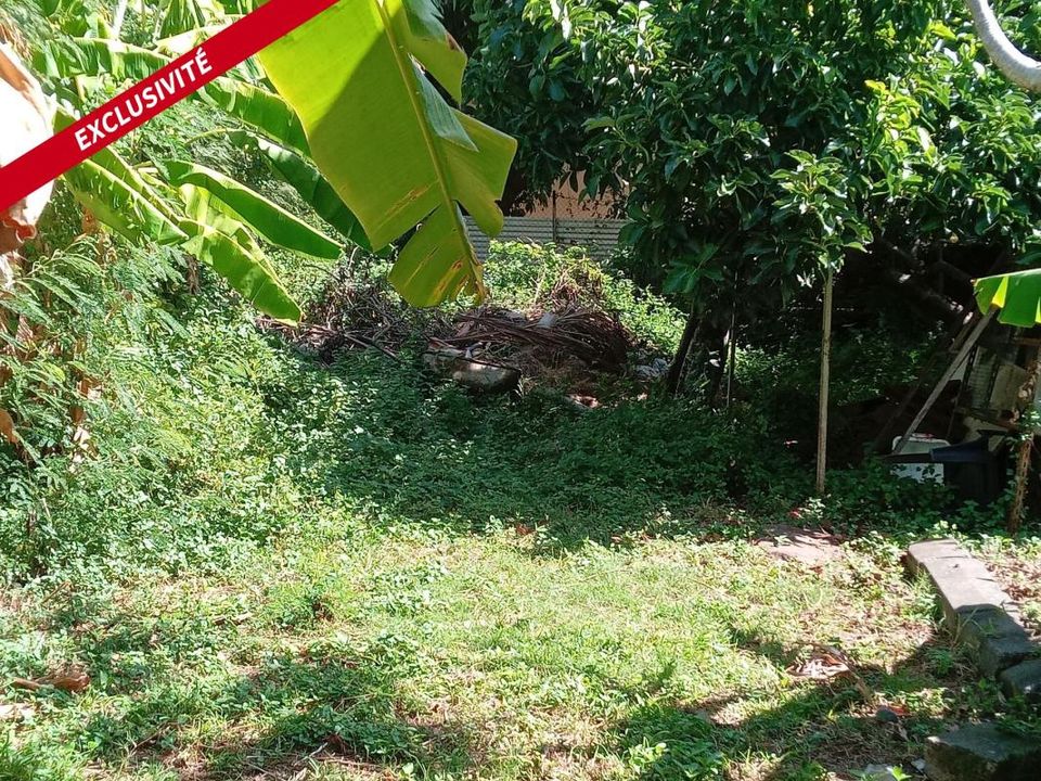 Tomt i Sainte-Clotilde, La Reunion - bilde 5