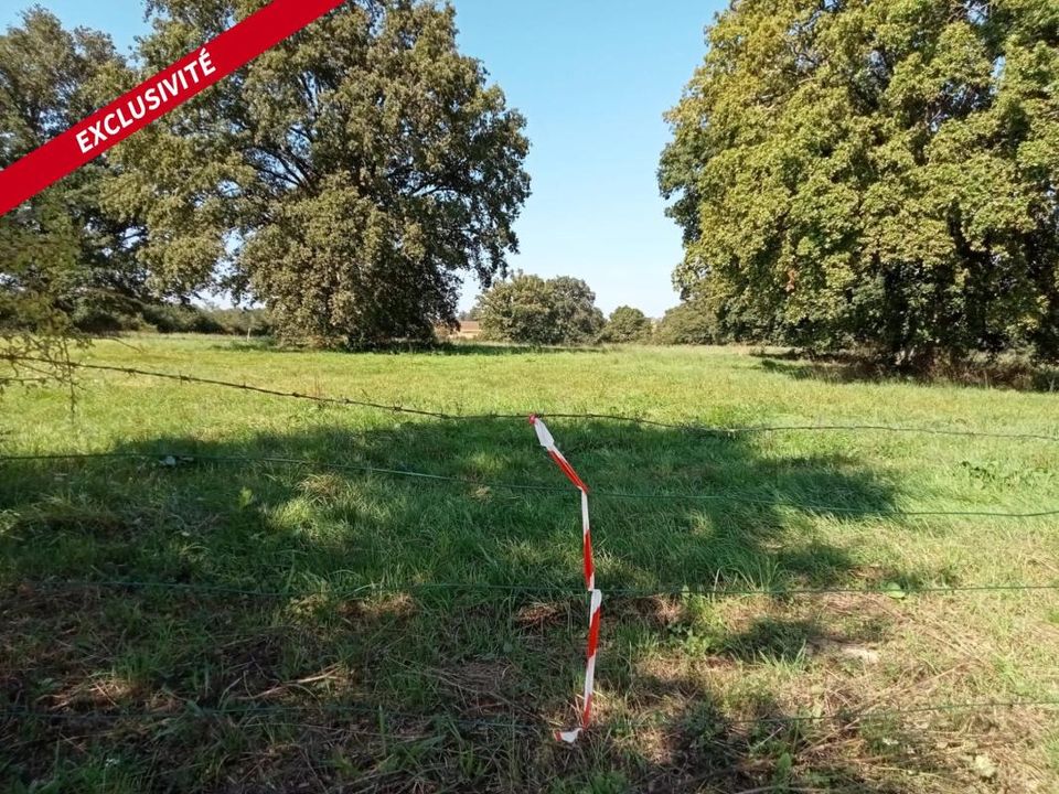 Tomt i Ahuille, Mayenne - bilde 1