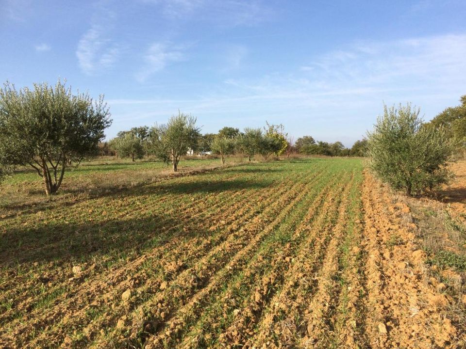 Helårsgrund i Alignan-du-Vent, Herault - foto 1