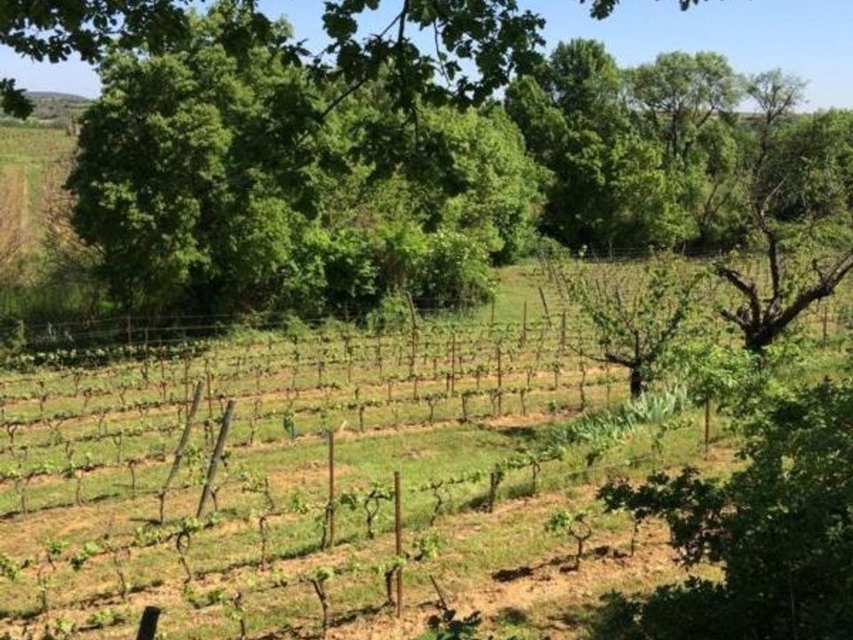 Helårsgrund i Alignan-du-Vent, Herault - foto 3