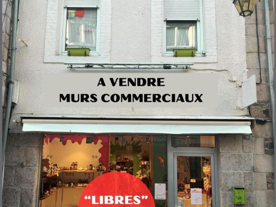 Erhvervsejendom i Lannion, Cotes-d'Armor - foto 2