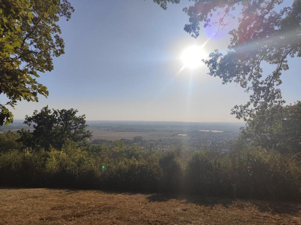 Helårsgrund i Grisolles, Tarn-et-Garonne - foto 2