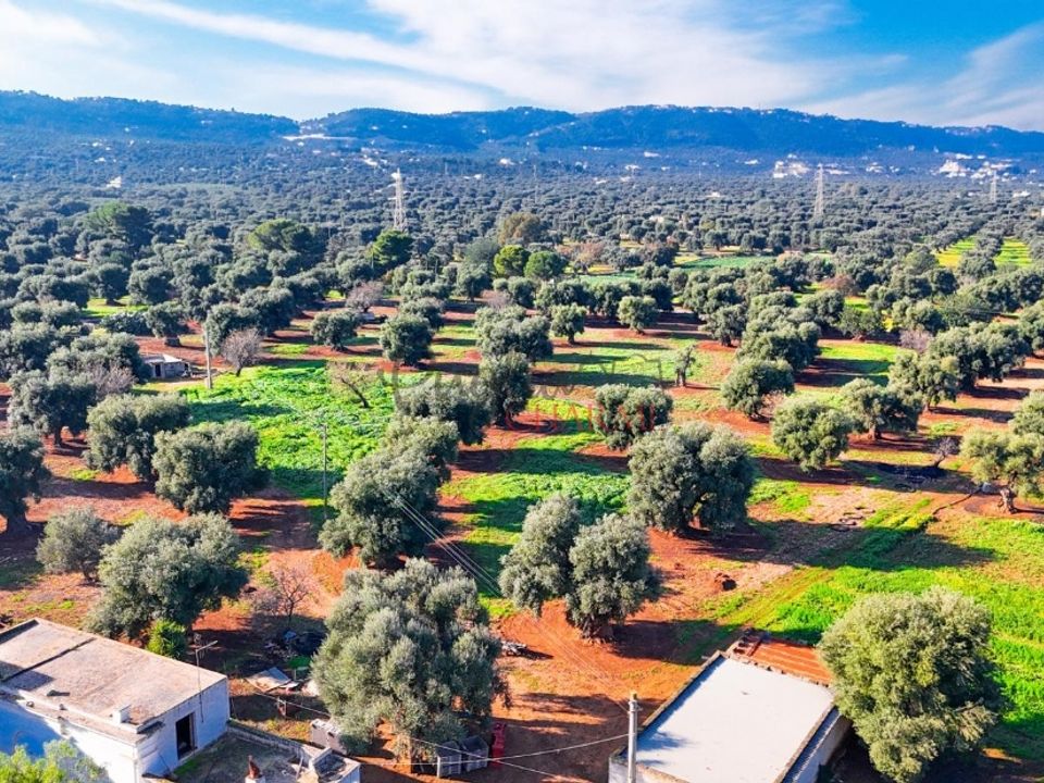 Casa de campo en Fasano, Brindisi - foto 2