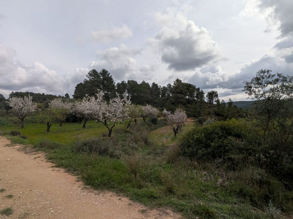 Finca en Caseres, Tarragona - foto 5