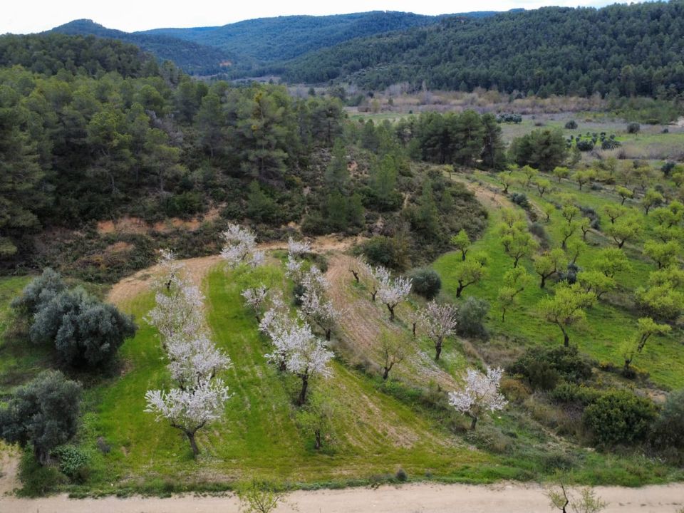 Finca en Caseres, Tarragona - foto 1