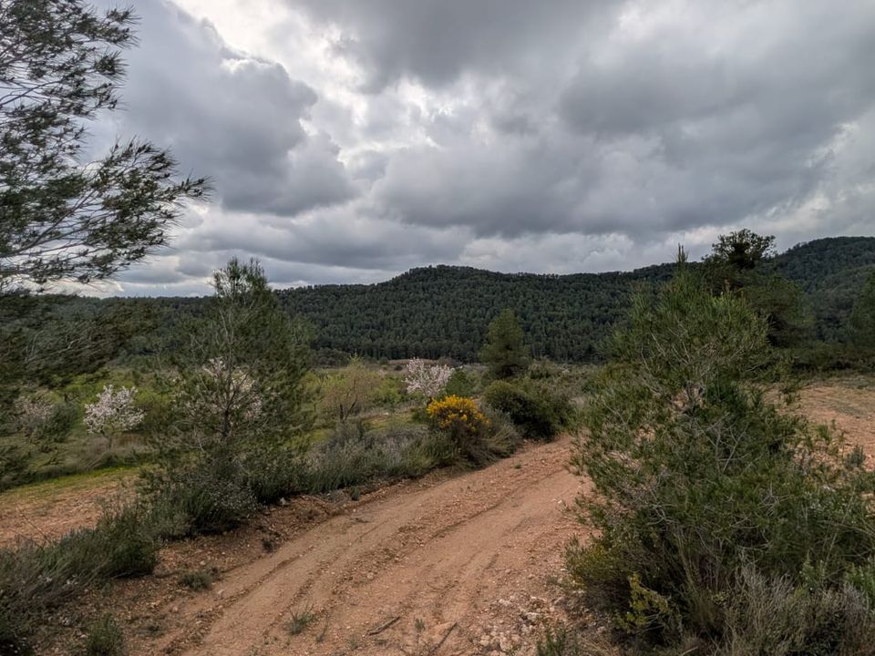 Finca en Caseres, Tarragona - foto 2
