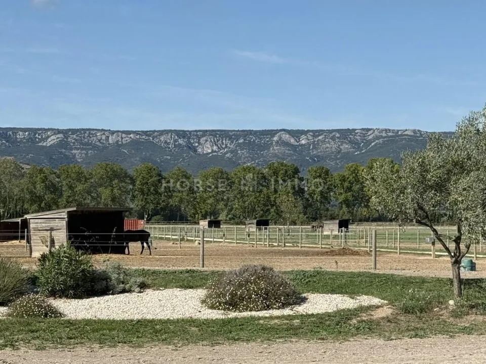 Villa i Mallemort, Bouches-du-Rhone - foto 1