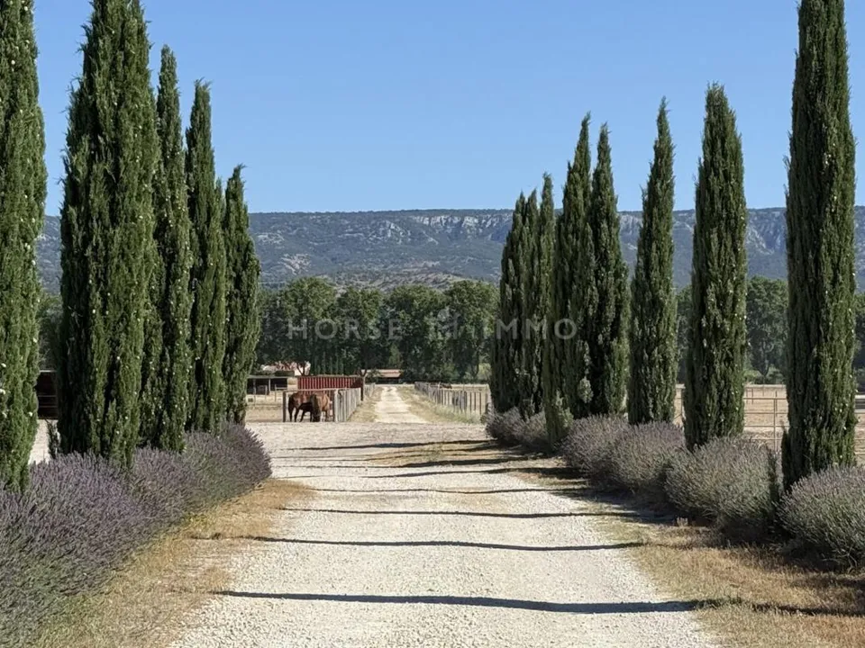 Villa i Mallemort, Bouches-du-Rhone - foto 2