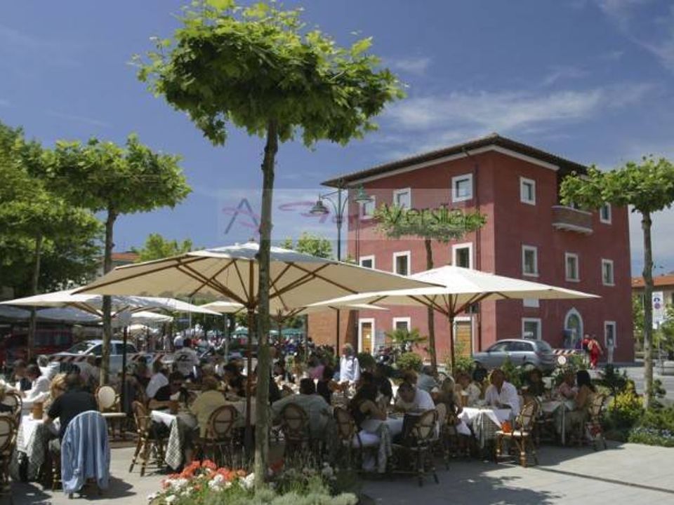 Erhvervsejendom i Pietrasanta, Lucca - foto 4
