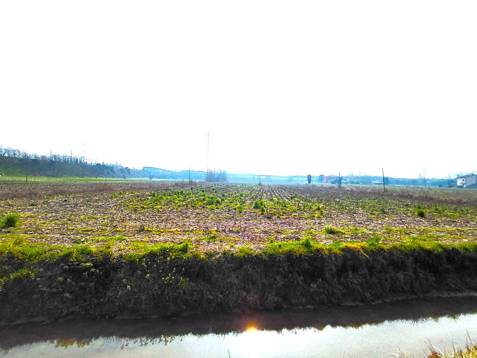 Erhvervsejendom i Boara Pisani, Padua - foto 1
