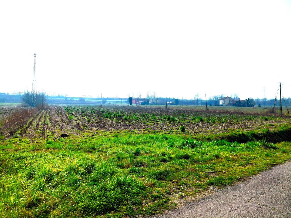 Erhvervsejendom i Boara Pisani, Padua - foto 2