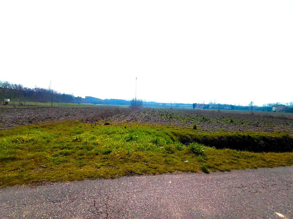 Erhvervsejendom i Boara Pisani, Padua - foto 3