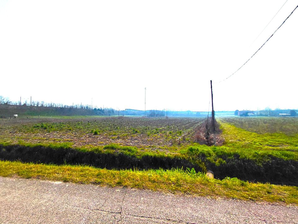 Erhvervsejendom i Boara Pisani, Padua - foto 5