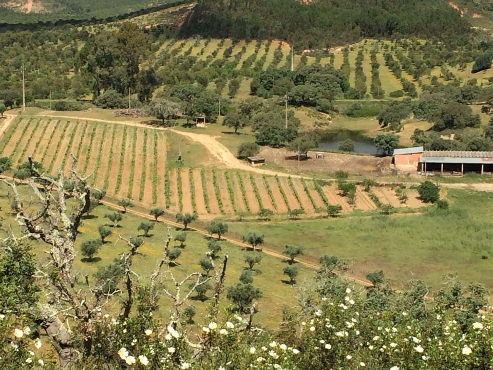 Farm hus i Odemira, Beja - foto 2