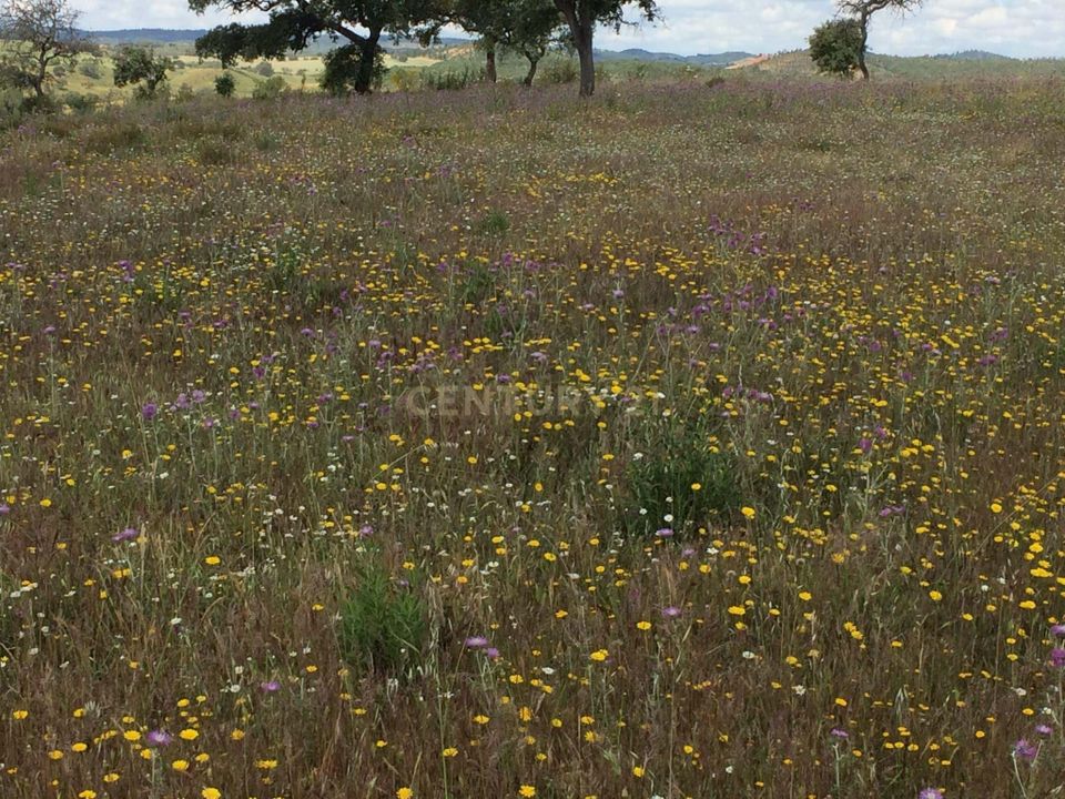Farm hus i Odemira, Beja - foto 3