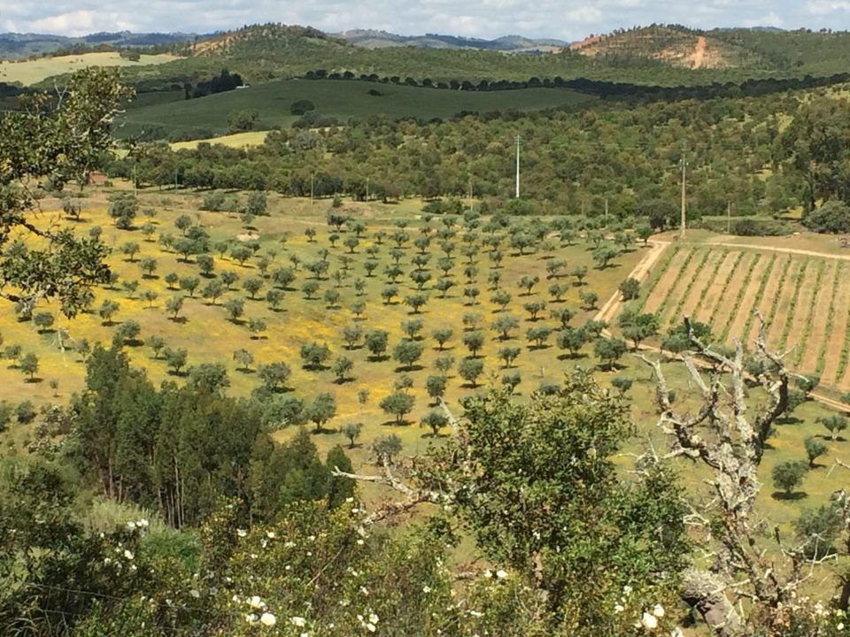 Farm hus i Odemira, Beja - foto 5
