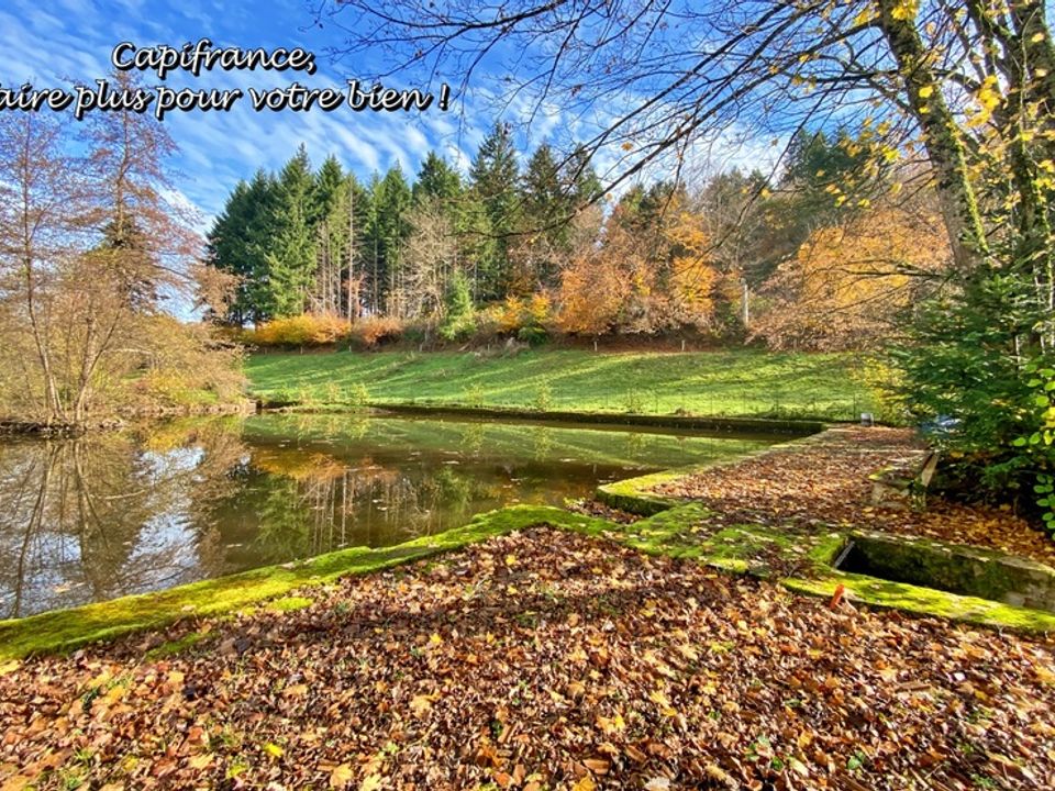 Villa i Belmont-de-la-Loire, Loire - foto 2