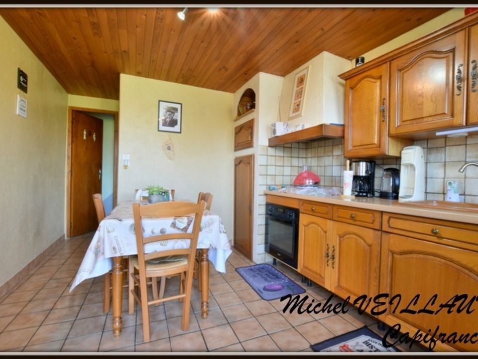 Villa in Paray-le-Frésil, Allier - foto 4
