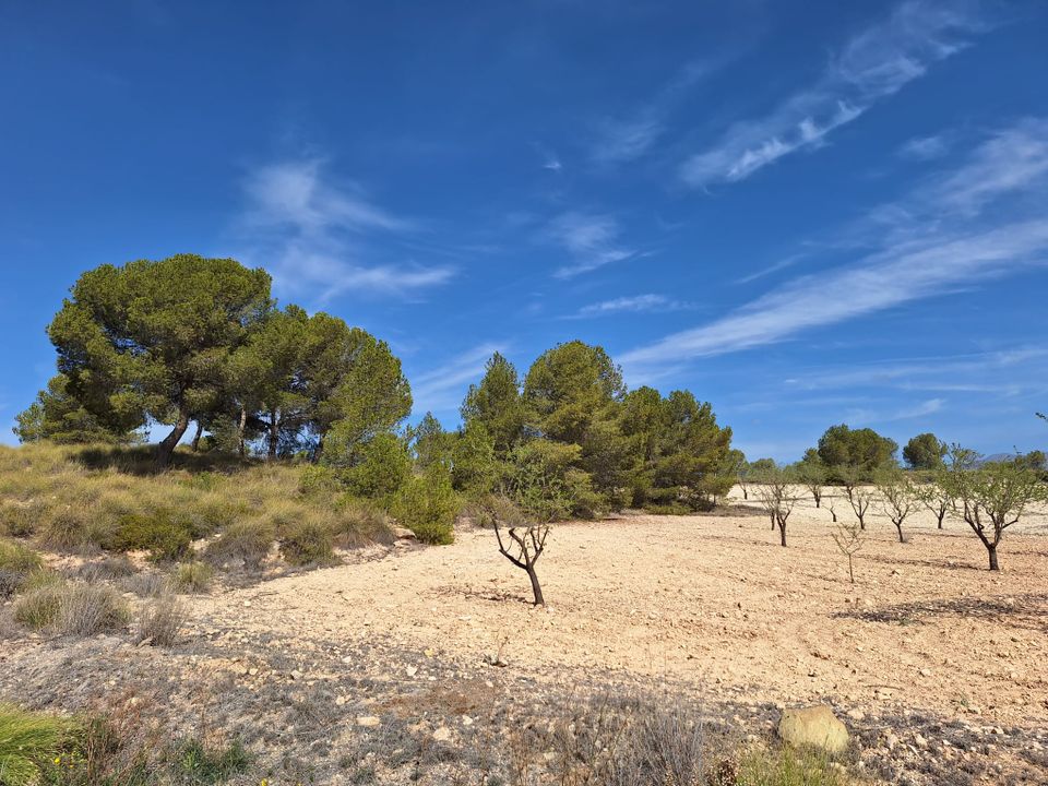 Helårsgrund i La Zarza, Murcia - foto 5