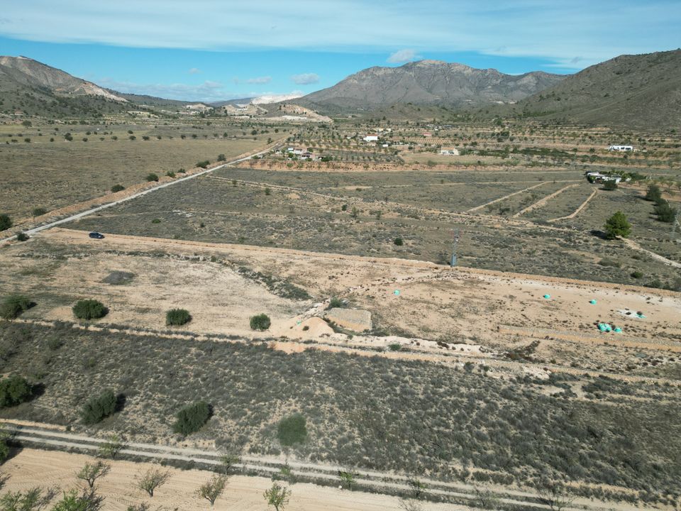 Helårsgrund i Barbarroja, Alicante - foto 4