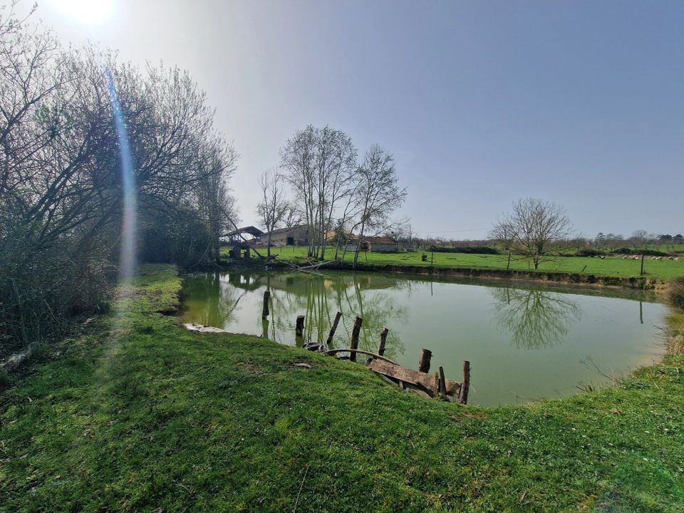 Villa i Lauzun, Lot-et-Garonne - foto 2