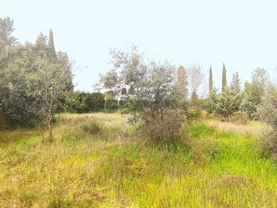Helårsgrund i Granada, Granada - foto 5