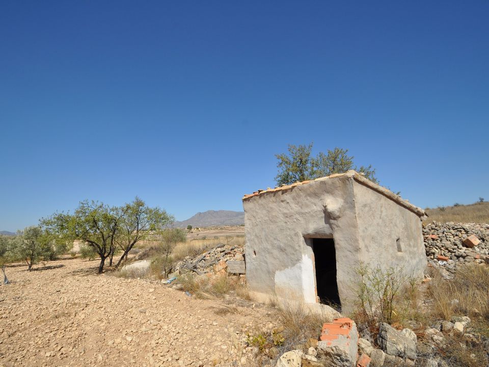 Helårsgrund i Torre Del Rico, Murcia - foto 1