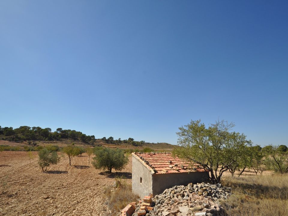 Helårsgrund i Torre Del Rico, Murcia - foto 3