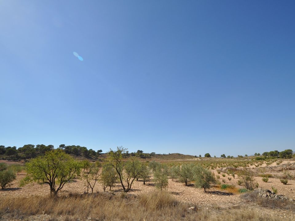 Helårsgrund i Torre Del Rico, Murcia - foto 4