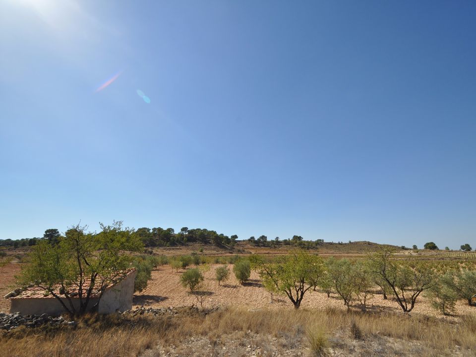 Helårsgrund i Torre Del Rico, Murcia - foto 5