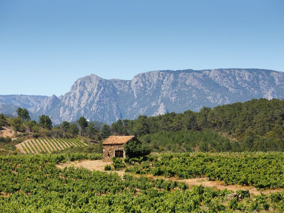Villa i Ferrières-Poussarou, Herault - foto 5