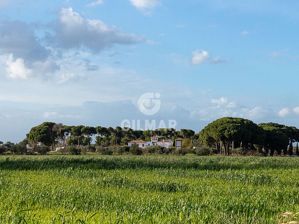 Villa en Marchena, Sevilla - foto 1