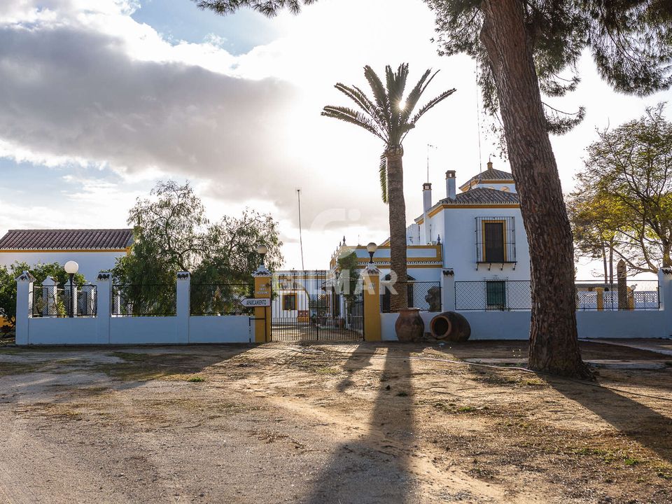 Villa en Marchena, Sevilla - foto 3
