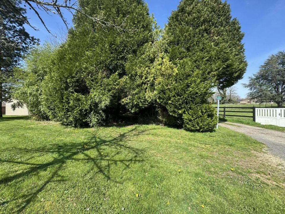 Villa i Saint-Pardoux-le-Lac, Haute-Vienne - foto 5