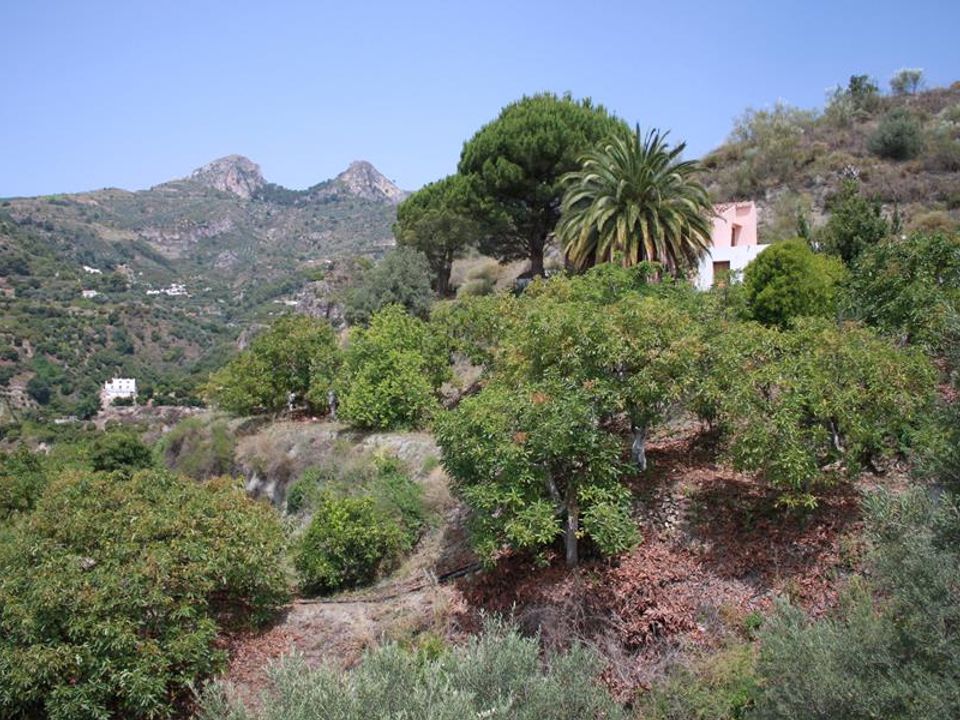 Landejendom i La Herradura, Granada - foto 4