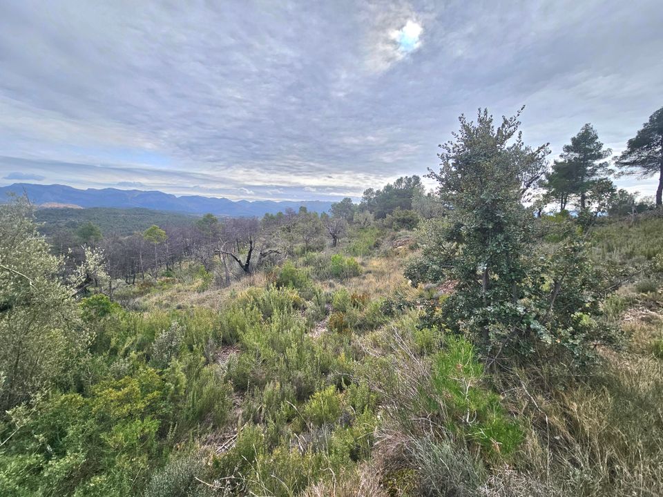 Tomt i Cretas, Teruel - bilde 3
