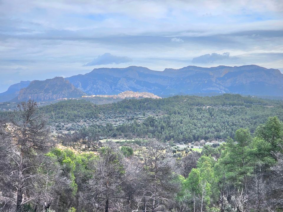 Tomt i Cretas, Teruel - bilde 4