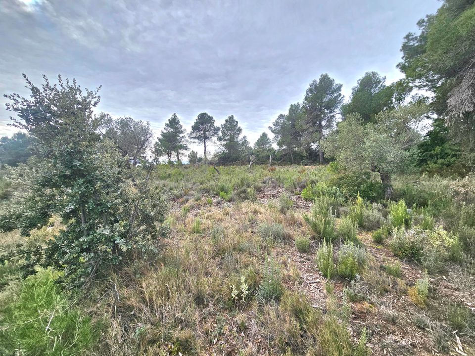 Tomt i Cretas, Teruel - bilde 2